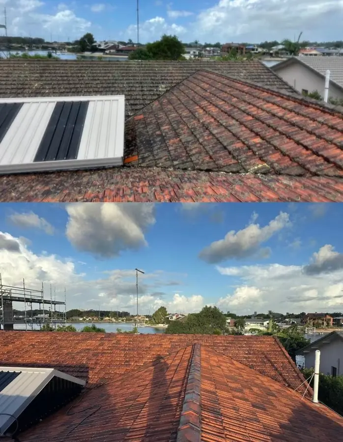 Terracotta tile roof in Palm Beach before and after soft washing, with the canal behind