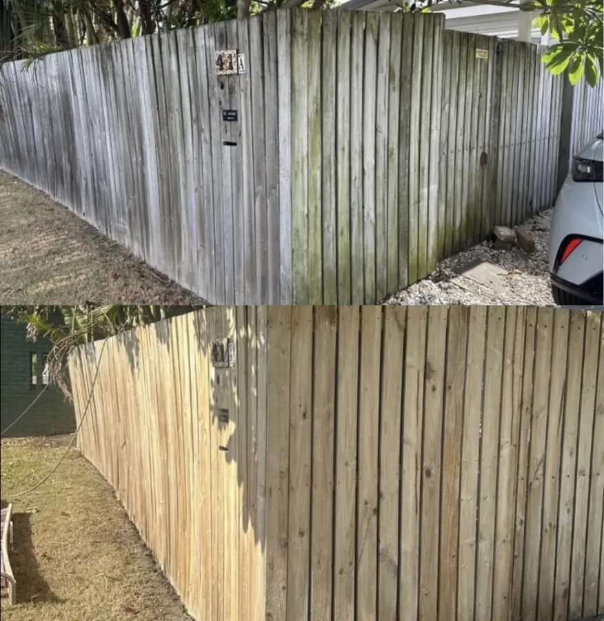 Timber paling fence in Labrador before and after cleaning, green mould back to natural timber