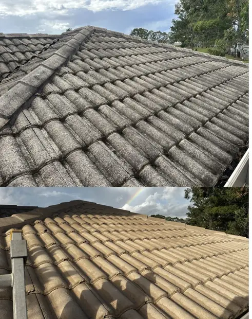 Tile roof after a soft wash treatment in Broadbeach Waters, Gold Coast